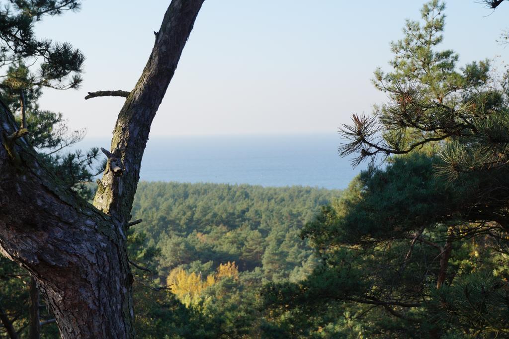 Aparthotel Four Winds Krynica Morska Zewnętrze zdjęcie